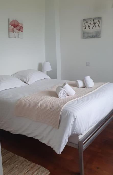 Maison De Charme Avec Vue Mer Trouville-sur-Mer Extérieur photo